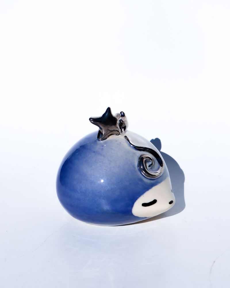 sapphire the shrewting star