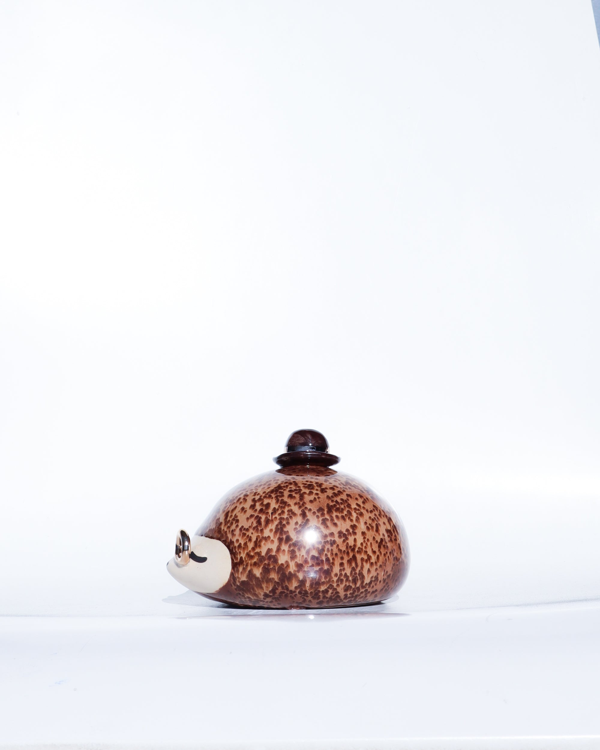 sir cornelius wellington [shrew clue]